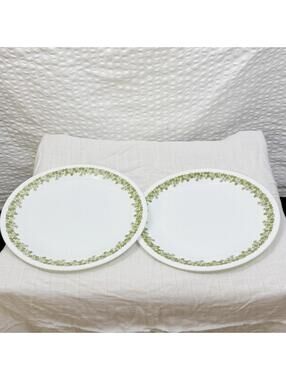 Two 2 Corelle Spring Blossom Green 8-1/2" Salad Plates Crazy Daisy